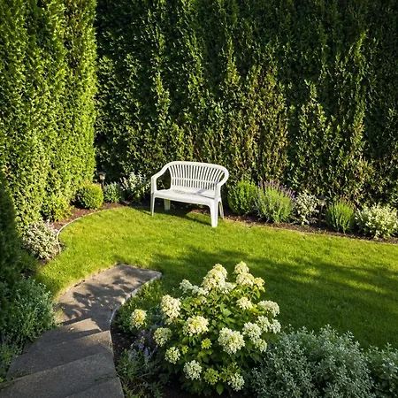 Fair House Near Duesseldorf- 5 Bedrooms, Garden, Terrace Parking